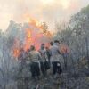 Kebakaran Hutan Taman Nasional Way Kambas Meluas 673 Hektare