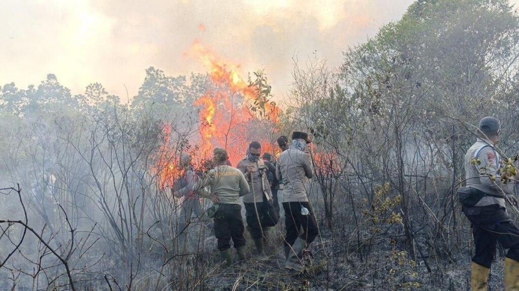 Kebakaran Hutan Taman Nasional Way Kambas Meluas 673 Hektare