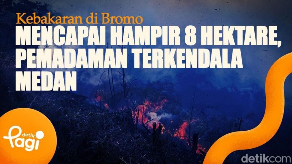 BNPB Kerahkan Helikopter Padamkan Kebakaran di Gunung Bromo