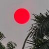 Matahari Merah Pekat Muncul di Langit Palangka Raya Terkait Karhutla