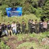 BNN Musnahkan 12 Hektare Ladang Ganja di Nagan Raya Aceh