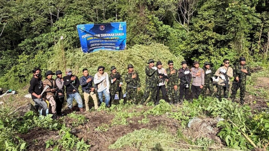 BNN Musnahkan 12 Hektare Ladang Ganja di Nagan Raya Aceh
