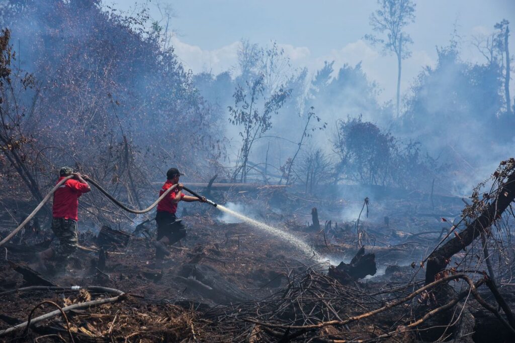 Pemerintah Salurkan Rp18,9 Triliun untuk Gaji ASN Daerah