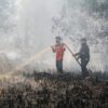 Karhutla Meluas di Kalimantan, Palangka Raya Alami Asap Terparah