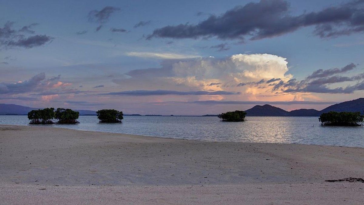 Bougainville Siap Deklarasikan Kemerdekaan dari Papua Nugini pada 2030