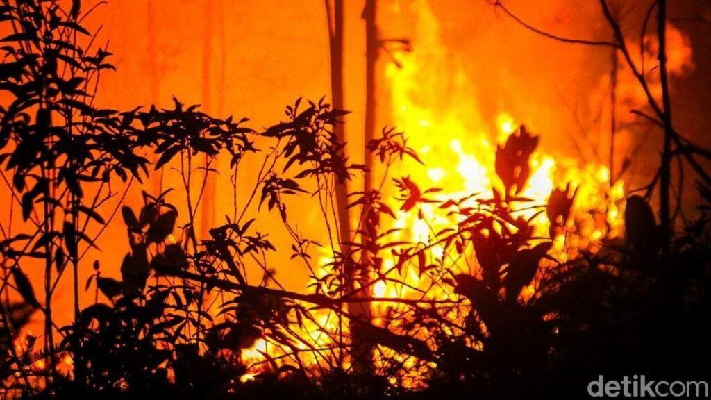 Karhutla Kalimantan Ancam Negara Tetangga akibat Ulah Manusia