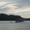 Kuala Selangor Tawarkan Wisata Alam Mangrove Hingga Satwa Langka