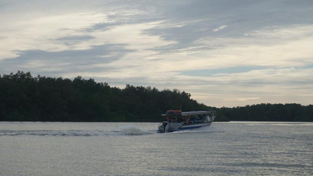 Kuala Selangor Tawarkan Wisata Alam Mangrove Hingga Satwa Langka