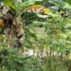 Lapas Muara Bulian dan Baznas Renovasi Rumah Warga Kurang Mampu