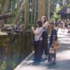 Atraksi Memberi Makan Kera Sangeh Dongkrak Wisatawan dan Hemat Biaya
