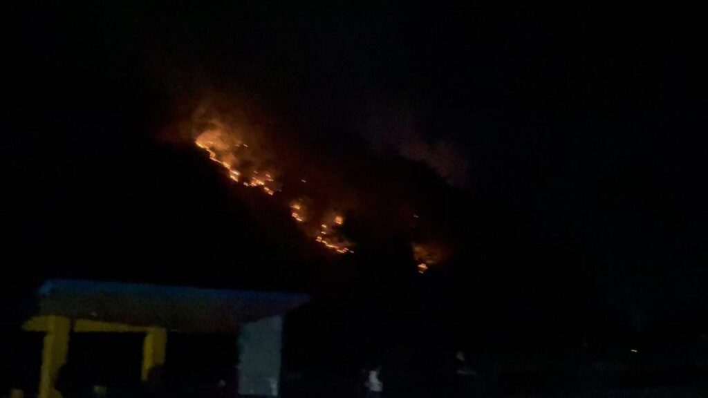 Kebakaran Lahan Melanda Kawasan Gunung Picung Cianjur