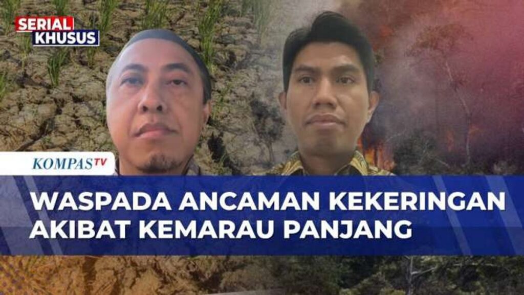 BMKG Peringatkan Puncak Kemarau 2026 dan Risiko Kekeringan