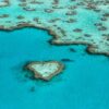 Great Barrier Reef Hadapi Ancaman Pemutihan Massal Ekstrem