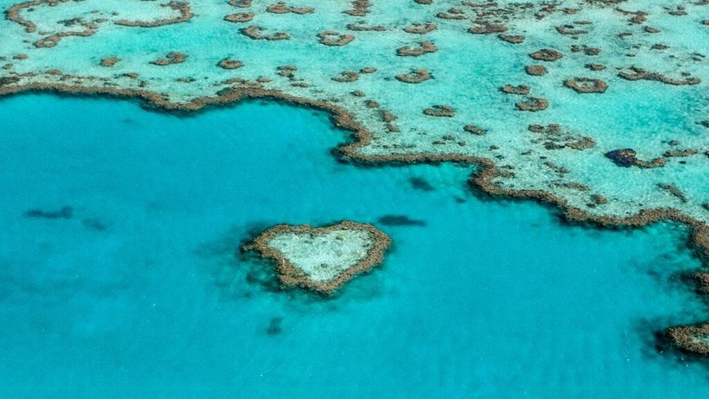 Great Barrier Reef Hadapi Ancaman Pemutihan Massal Ekstrem