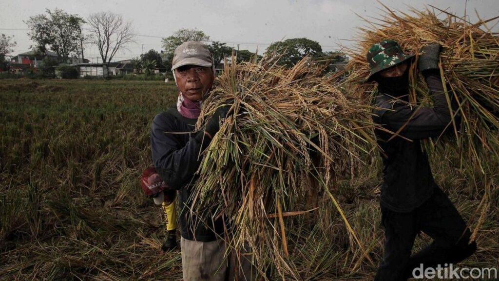 Pemerintah Siapkan Anggaran Ketahanan Pangan Rp 195,3 Triliun pada 2027