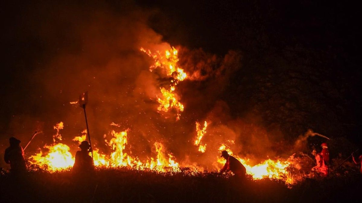 Pemerintah Antisipasi El Nino Godzilla Cegah Kebakaran Hutan