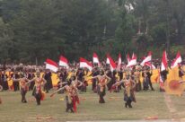 Ilmuwan Lepas Puluhan Bintang Laut Bunga Matahari di AS
