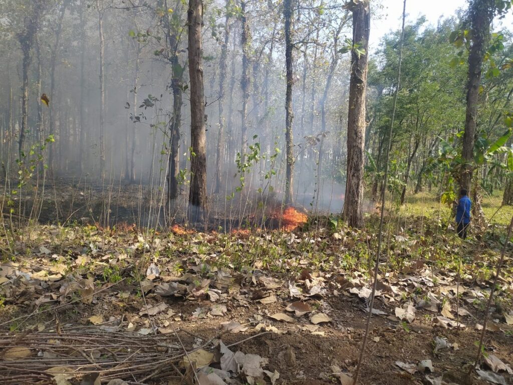 Kebakaran Lahan Melanda Hutan Jati dan Kebun Tebu di Tegal