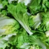 Wabah Parasit Cyclospora di AS Melonjak hingga 6.000 Kasus