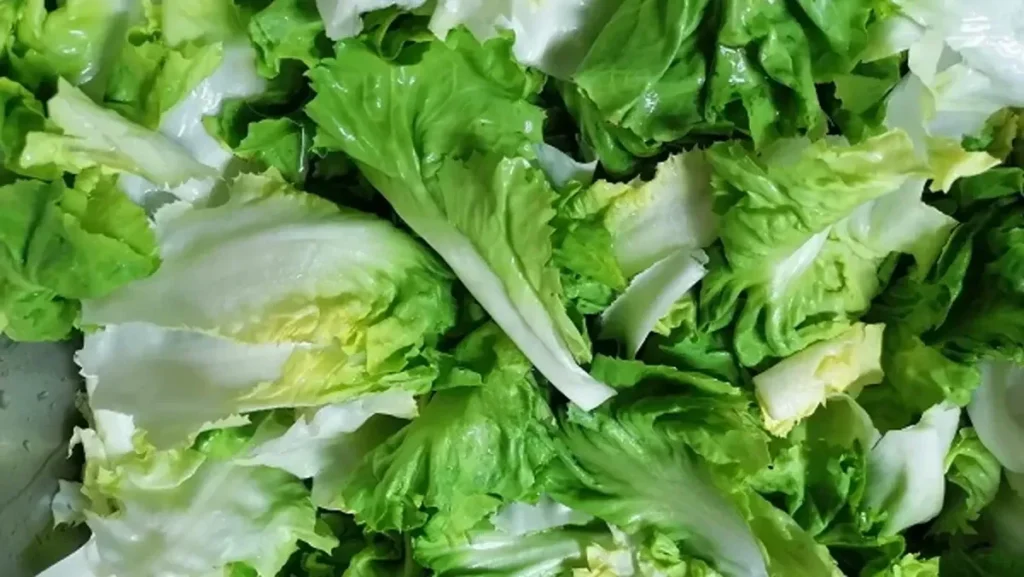 Wabah Parasit Cyclospora di AS Melonjak hingga 6.000 Kasus