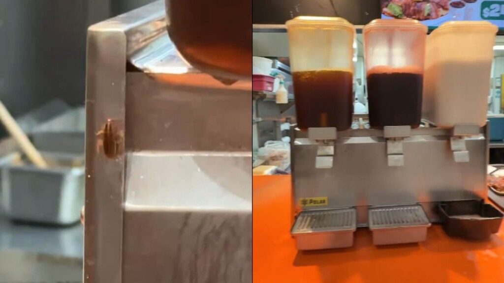 Kecoak Merayap di Dispenser Minuman Restoran Picu Perdebatan Kebersihan