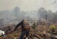 108 Sekolah di Sarawak Ditutup Akibat Kabut Asap Karhutla Kalimantan