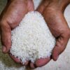 Bapanas Salurkan Bantuan Pangan Bencana NTT Rp 370 Miliar