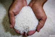 Bapanas Salurkan Bantuan Pangan Bencana NTT Rp 370 Miliar