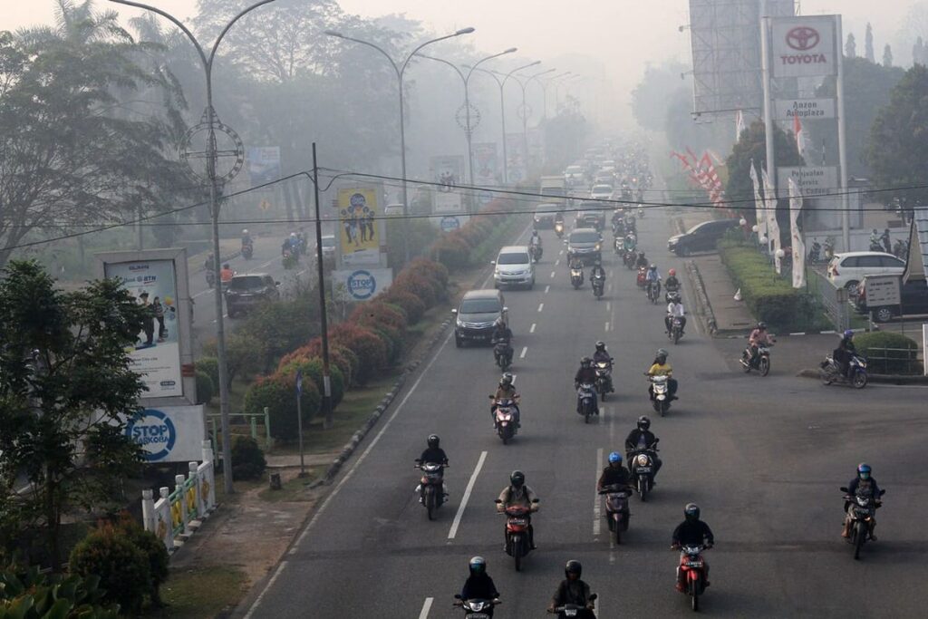 Kebakaran Hutan di Kalimantan Ganggu Sekolah, Penerbangan, dan Kesehatan