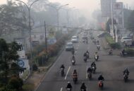 Jaringan Jamur Bawah Tanah Terancam Rusak Akibat Kerusakan Padang Rumput