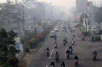 Jaringan Jamur Bawah Tanah Terancam Rusak Akibat Kerusakan Padang Rumput