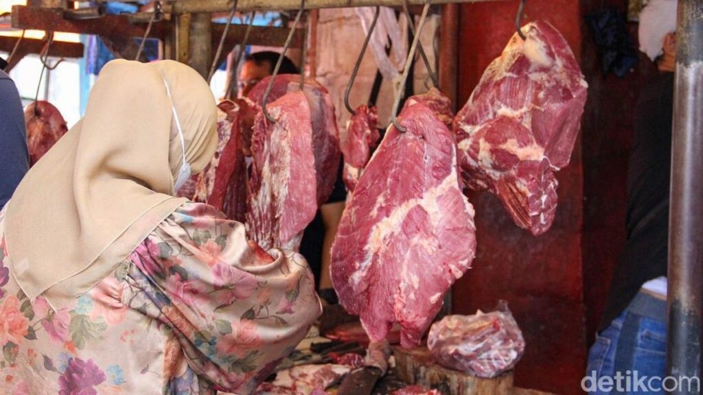 Pemerintah Siapkan Perpres Impor Sapi Indukan Tekan Impor