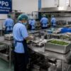 Kepala BGN Mencopot 137 Kepala Dapur SPPG Usai Keracunan Makanan