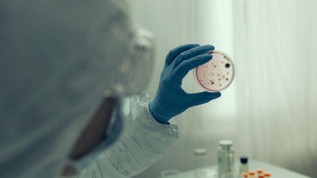Ilmuwan Berhasil Ciptakan Virus Buatan AI Menggunakan Model Evo