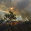 Sistem Deteksi Dini Temukan 73 Titik Hotspot di Kalimantan Selatan