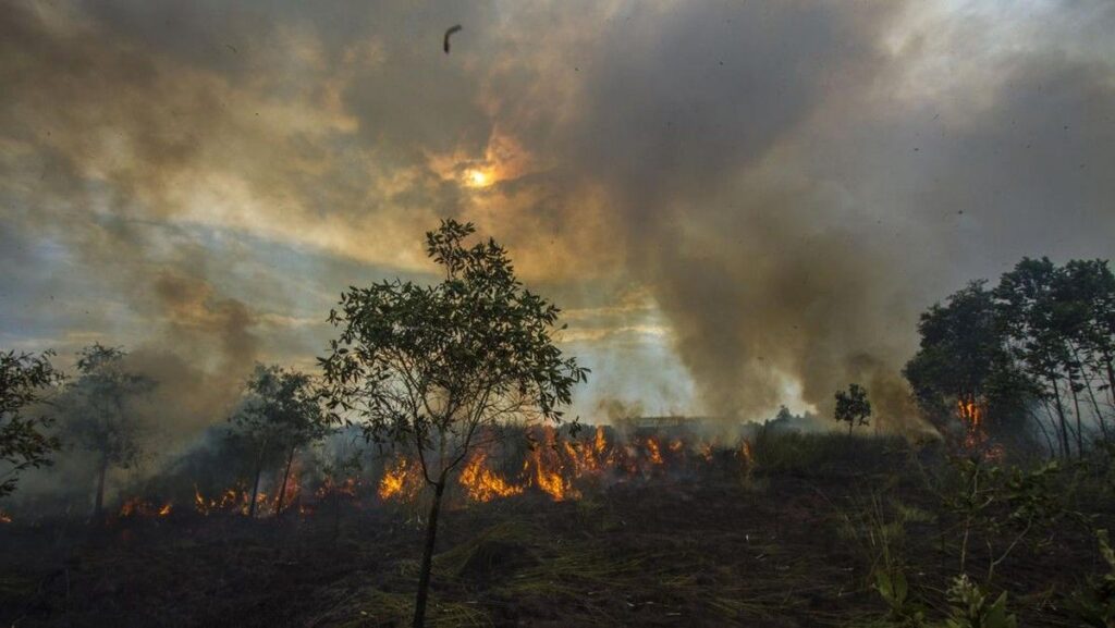 Sistem Deteksi Dini Temukan 73 Titik Hotspot di Kalimantan Selatan