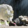 Game Freak Rilis Beast of Reincarnation dengan Karakter Anjing Unik