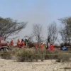 Pesawat Wisata Jatuh di Garis Nazca Peru Tewaskan 13 Orang