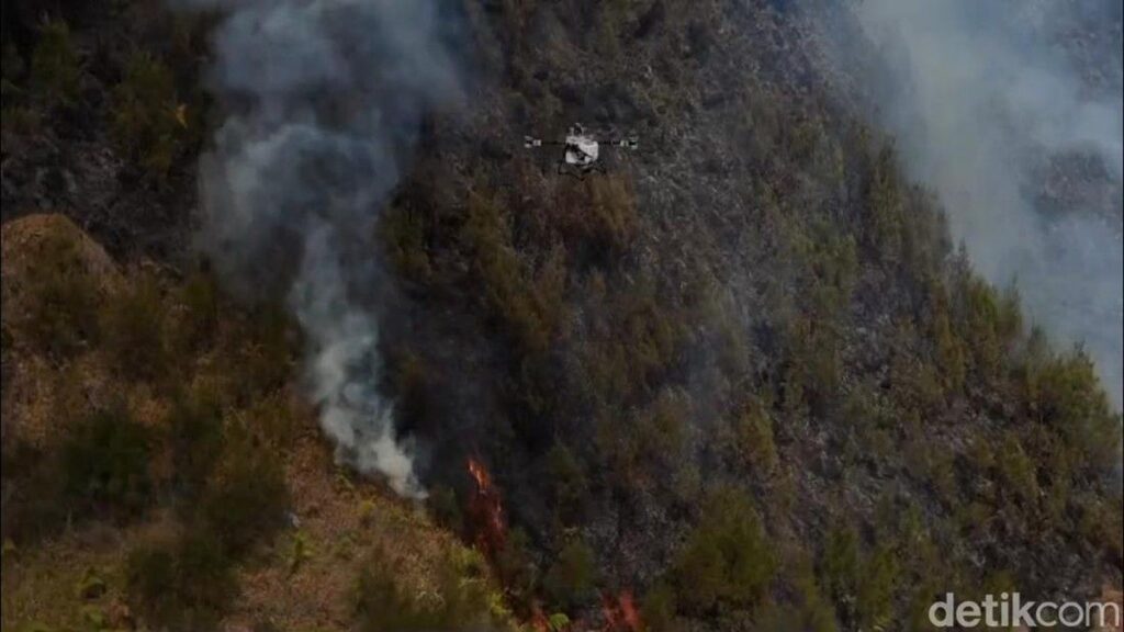 Kebakaran Lahan Bromo Capai 176 Hektare Diduga Dipicu Perapian Warga