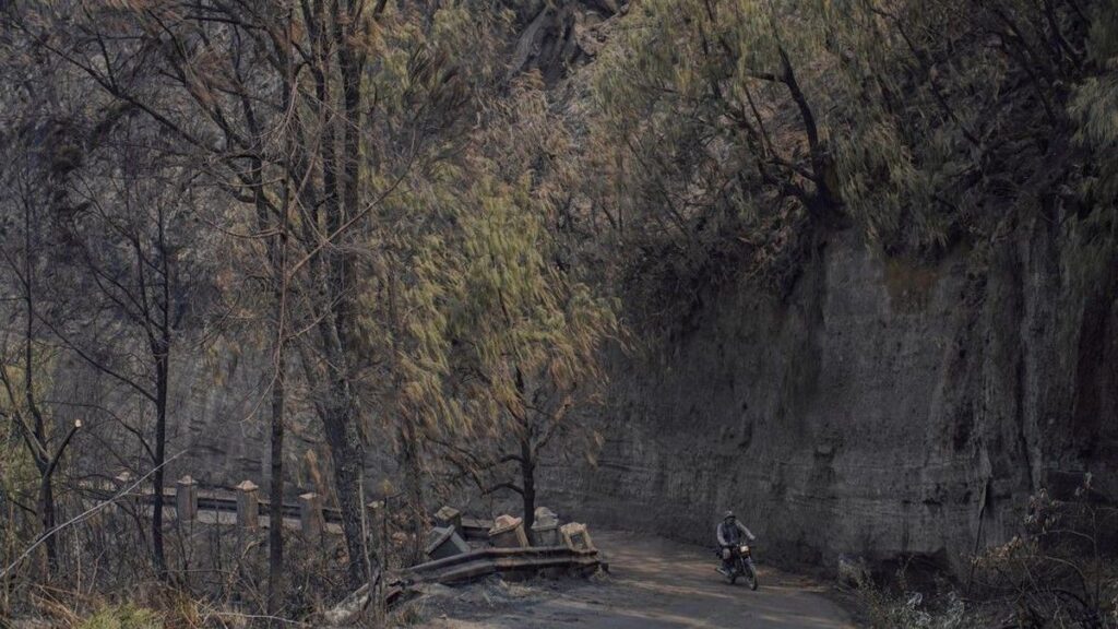 Kebakaran Kebun Nasional Bromo Tengger Semeru Hanguskan 742 Hektare Lahan