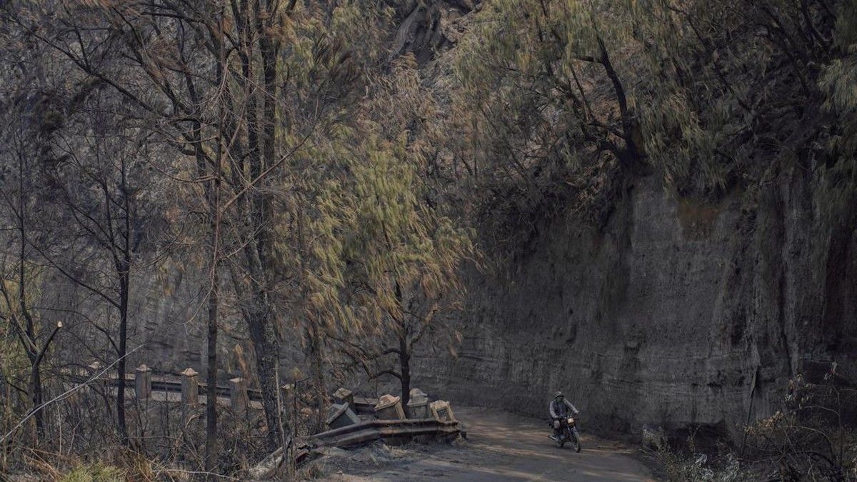 Kebakaran Kebun Nasional Bromo Tengger Semeru Hanguskan 742 Hektare Lahan