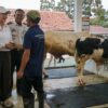 Rieke Diah Pitaloka Tinjau Pembinaan Napi Lapas IIA Karawang