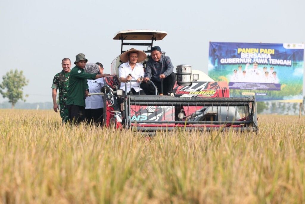 Jawa Tengah Capai Produksi Padi 6,74 Juta Ton hingga Juli 2026