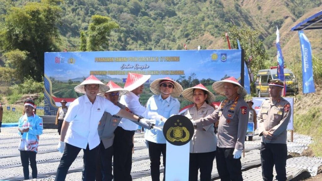 Pemerintah Tingkatkan Produksi Bawang Putih Nasional Lewat Panen di NTB