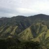 Kebakaran Lahap Hutan Pinus Gunung Nona di Enrekang