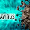 Warga Prancis-Argentina Positif Hantavirus Varian Andes di Spanyol