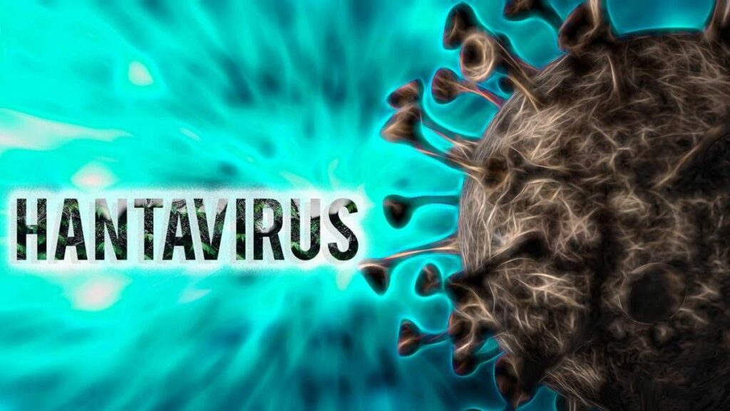 Warga Prancis-Argentina Positif Hantavirus Varian Andes di Spanyol
