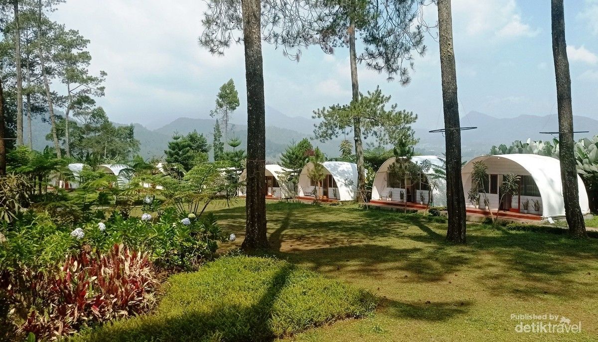 Taman Wisata Kebon Pines Cikole Tawarkan Camping dan Wahana Outbound