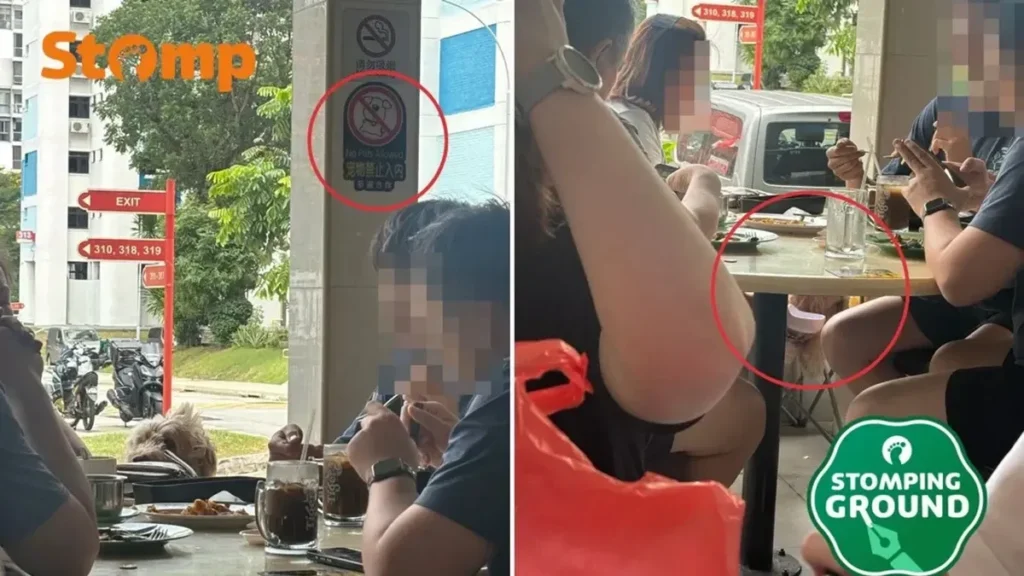 Gading Serpong Tawarkan Kuliner Baru dan Solusi Meredakan Mendengkur