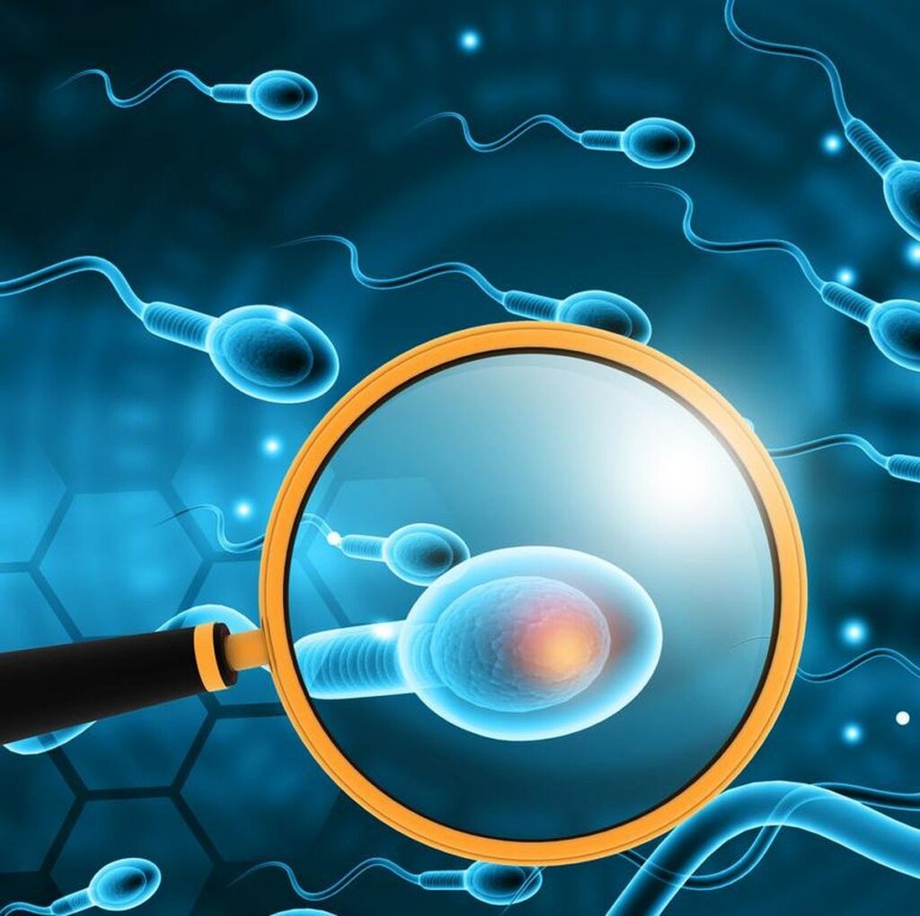 Kerusakan DNA Sperma Berisiko Picu Keguguran Berulang pada Pasangan